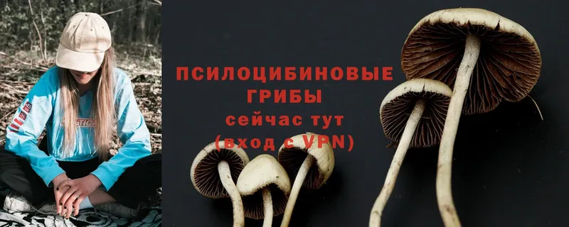 Галлюциногенные грибы Cubensis  наркота  мега ссылка  Бирск 